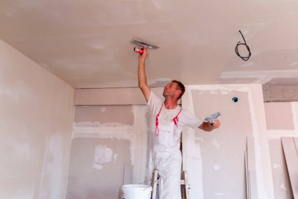 Best Commercial Painting  in Creedmoor, NC